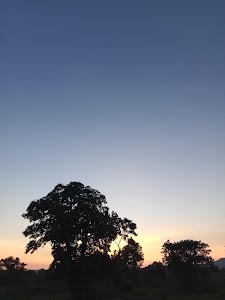 Palaspal