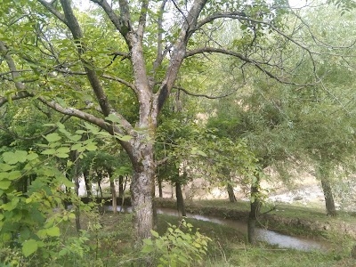 Kapisda