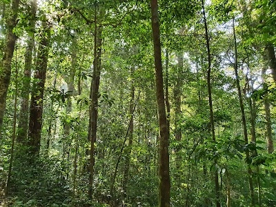 Pushpagiri Wildlife Sanctuary