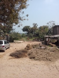Kachhwa