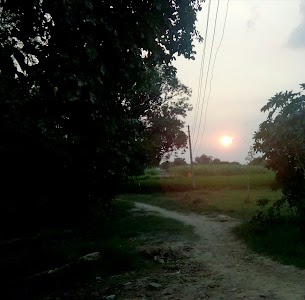 Bhadau