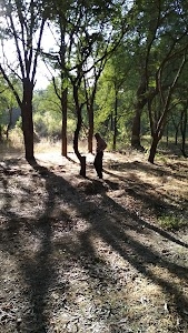 Himayat Bagh
