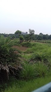 Aligarh Cement Works UltraTech Cement Limited