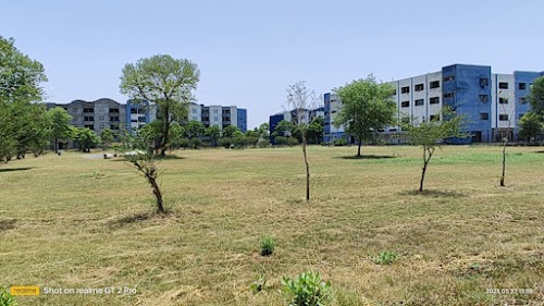 Continental Institute for International Studies
