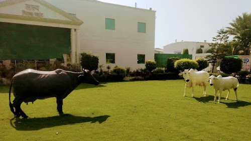 Lakshya Food India| Lakshya Milk Plant