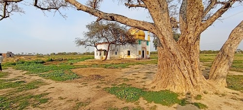 Numberdar Mosque & Graveyard Late Haji Aiwaz Ali Makbara