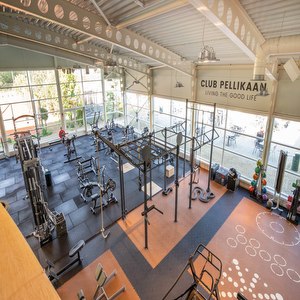 Club Pellikaan Tilburg