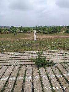 Arjun Nagar Halt