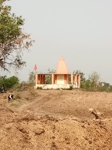 Arvi