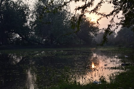 Chilla Gaon