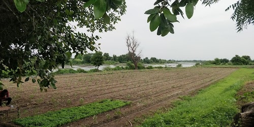 Tatana