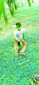 Bhagwanpur