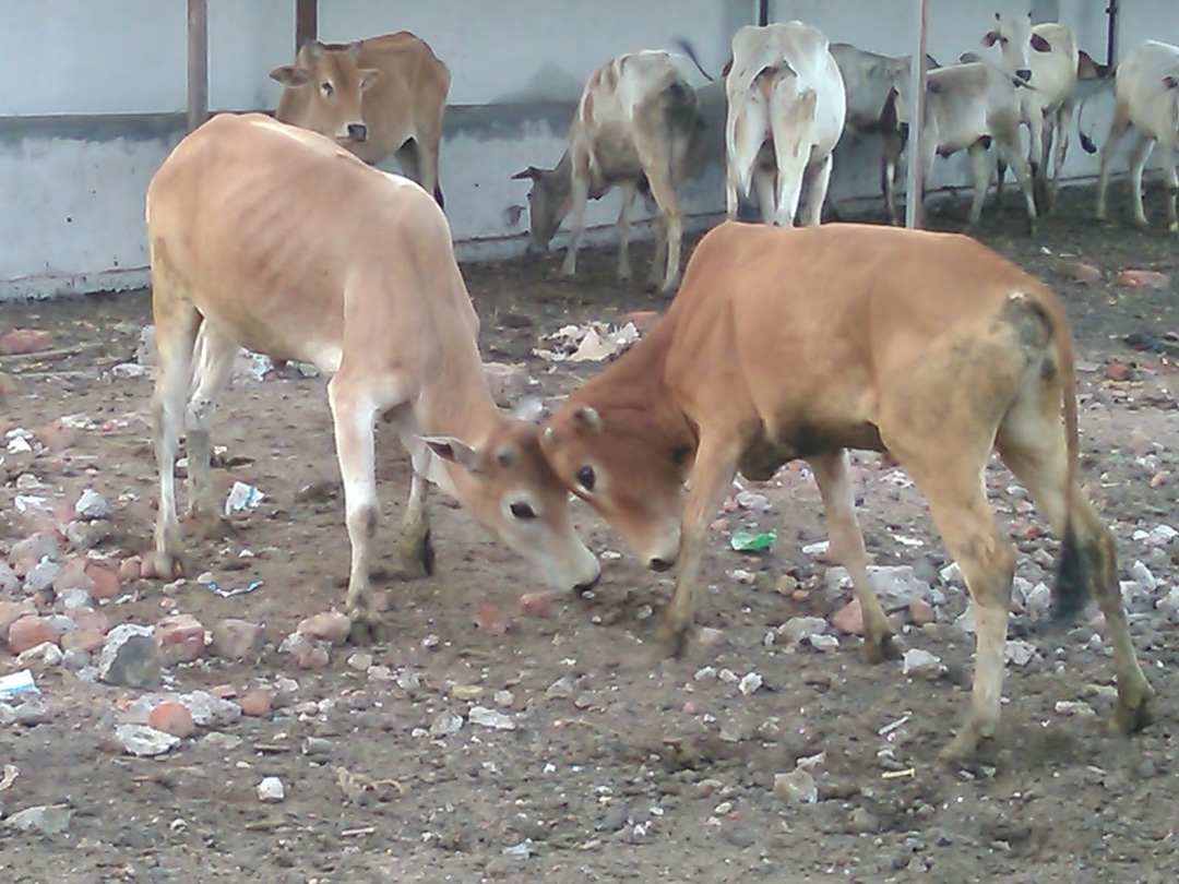 Beeramguda