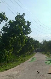 Netaji Subhas Chandra Bose Road