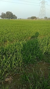 Mainapur