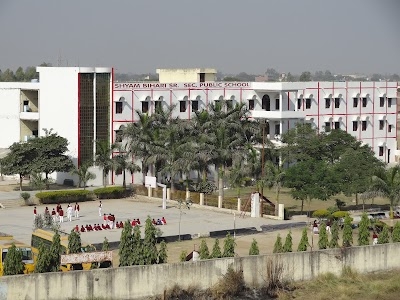 Shyam Bihari Public School