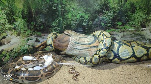 Guindy National Park