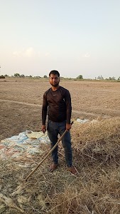 Bagdhari