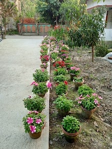 Paramananda Seva ashram