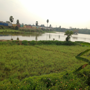 Belanagar
