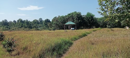 Elephant Park হাতী পার্ক