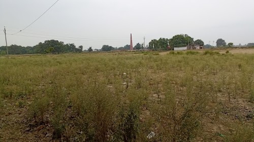 Rahul Singh home