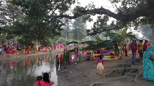 Holy Banyan Tree