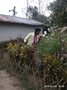 Napalpara