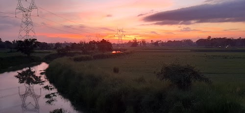 Bhimakol