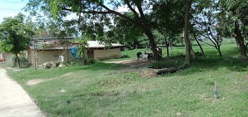 Devtal