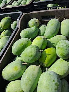APMC Market, Khergam