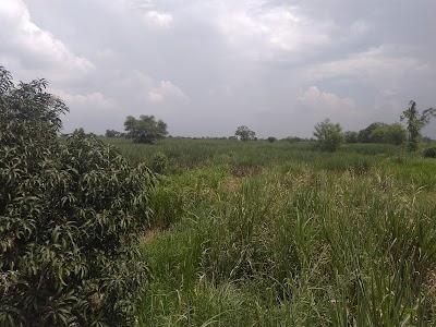 Amrapur