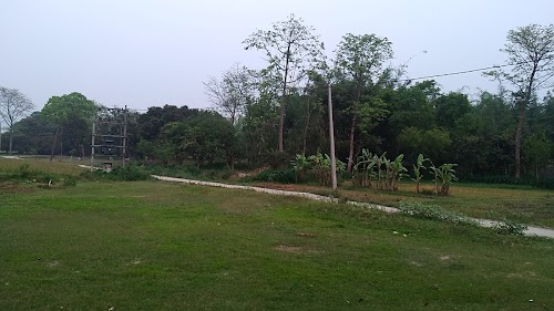 Walipur Sarhanchia