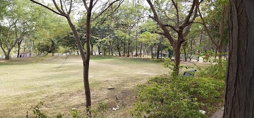 S.S. College of Education
