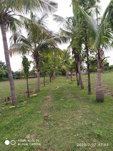Arjun Lila resort