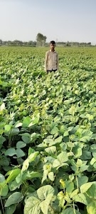 Jaat mahulla