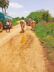 Rajupeta