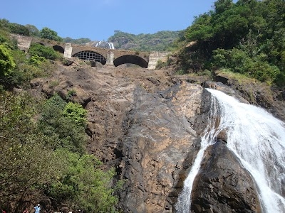 Dudhsagar Waterfall trip in Goa - GTH