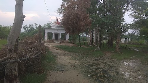 Jaupur