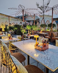 Aviary - Cocktail Nest