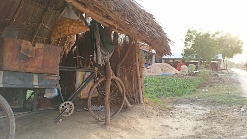Sauri