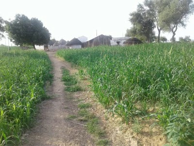Meghawas