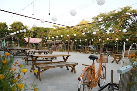 Stories- The Organic Farm Cafe