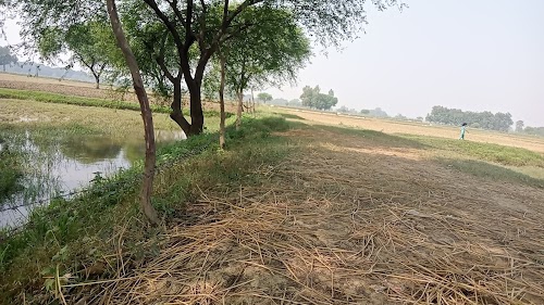 Dhanghata