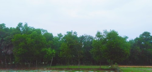 Sultan Nagar, Erragadda