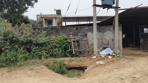 BHATTI FARM