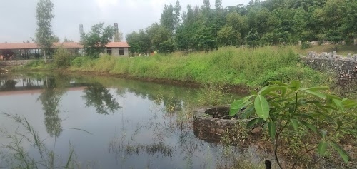 Lakkad Kot