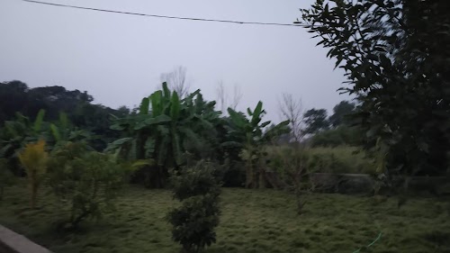 Nisarg Chhaya - Kaner