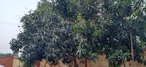 Jhitkahiyan