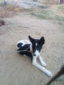 Tulunda
